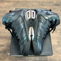 Chameleon Jordan 6 Retro (USED)