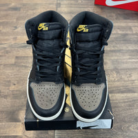 Palomino Jordan 1 High (USED)