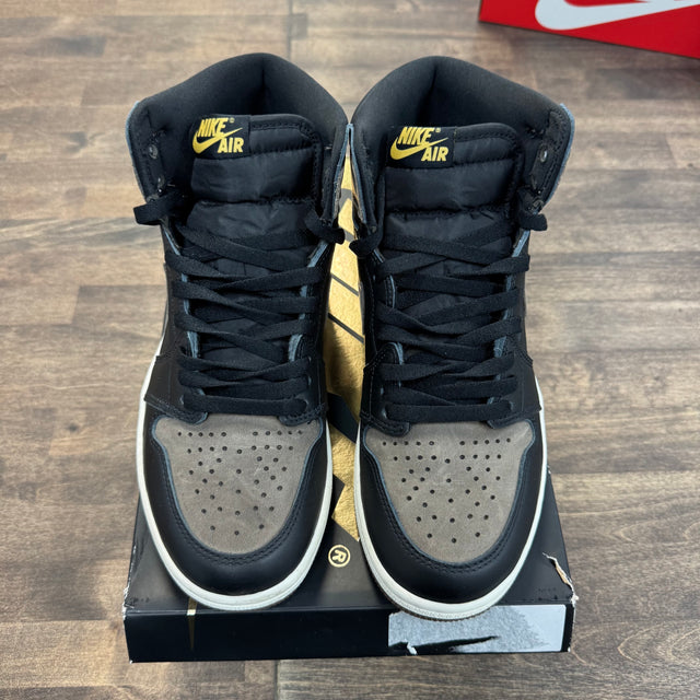 Palomino Jordan 1 High (USED)