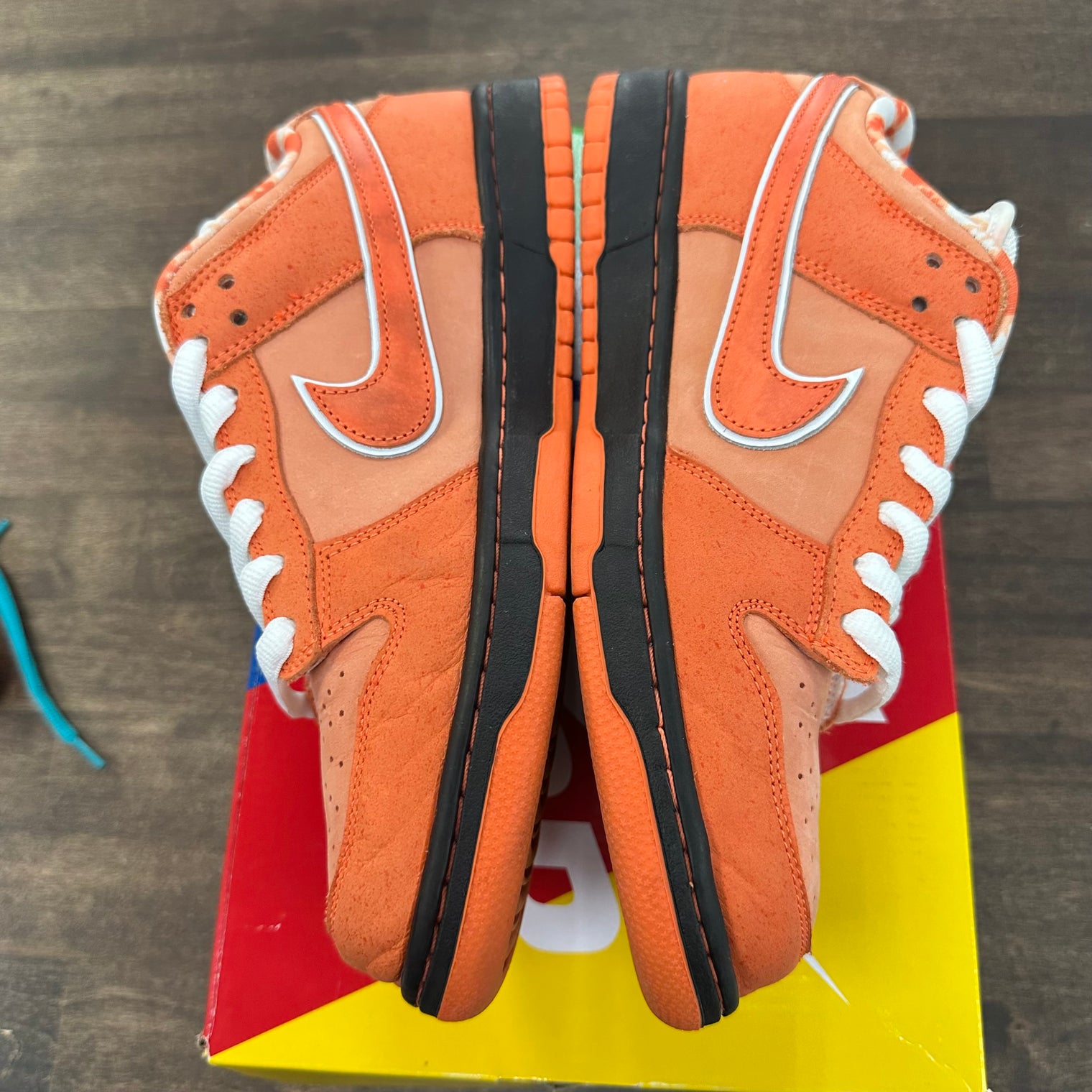 Orange Lobster SB Dunk Low (USED)