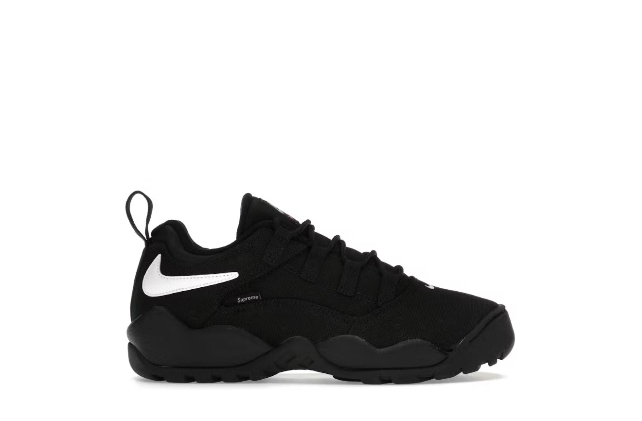 Supreme Black Nike SB Darwin Low (No Box)