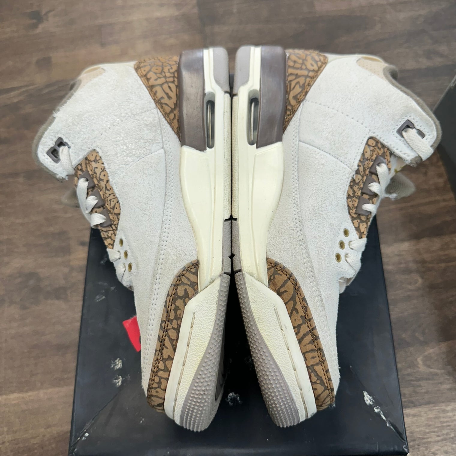 Palomino Jordan 3 (GS) (USED)