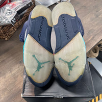 Pre-Grape Jordan 5 (USED)