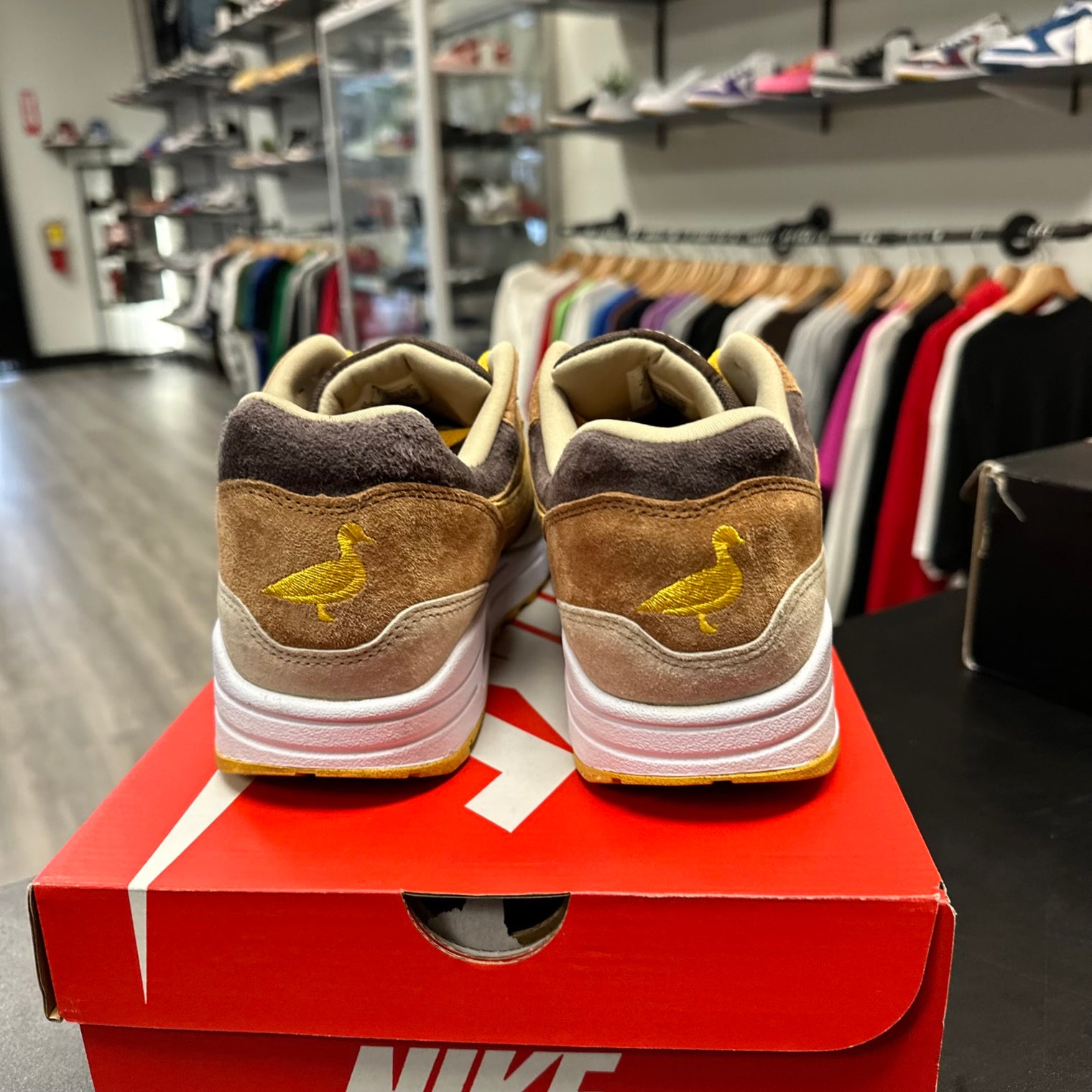 Nike Air Max 1 Ugly Duckling (Used)