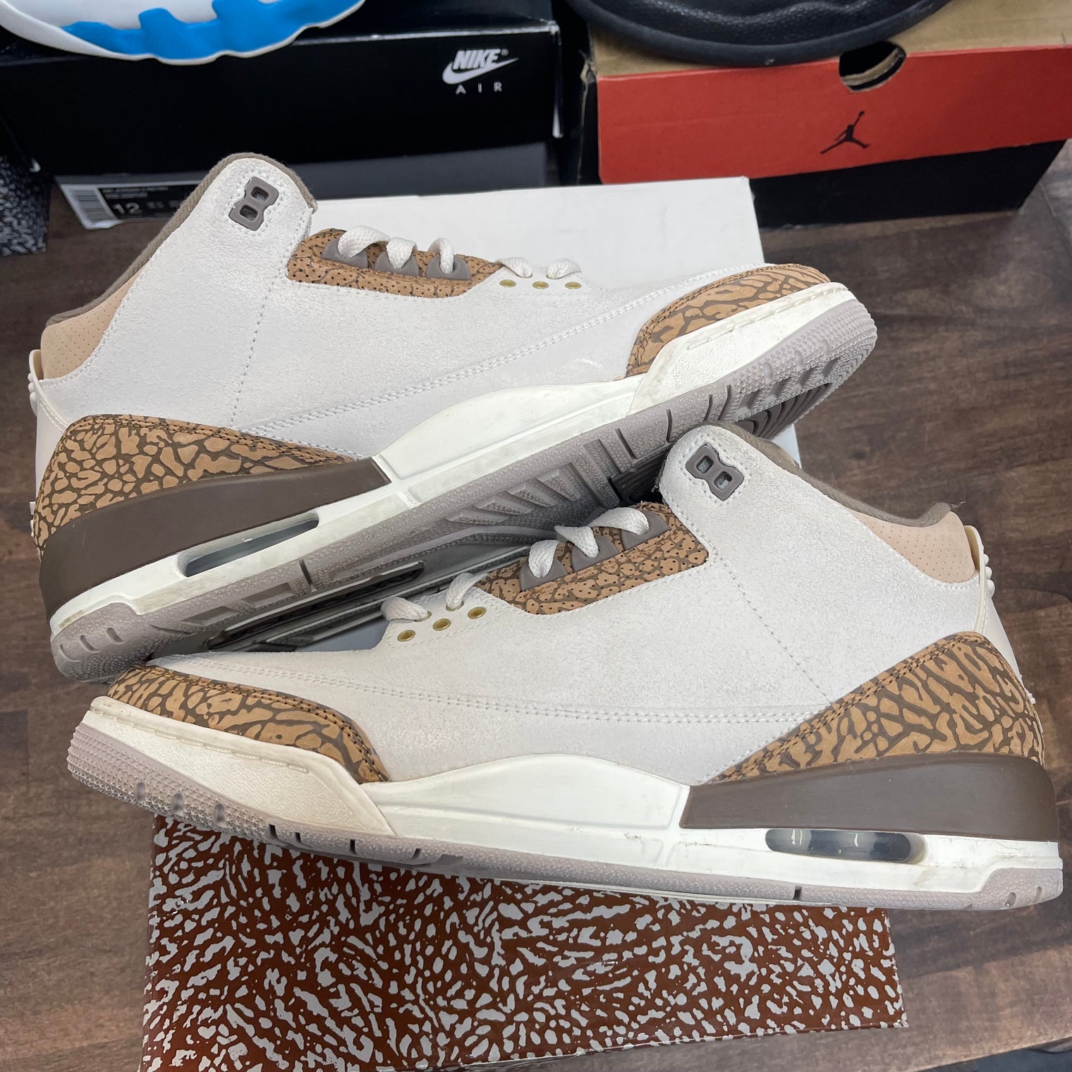 Palomino Jordan 3 (USED)