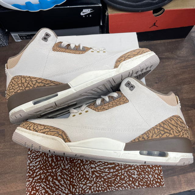Palomino Jordan 3 (USED)