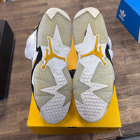 Yellow Ochre Jordan 6 Retro (USED)