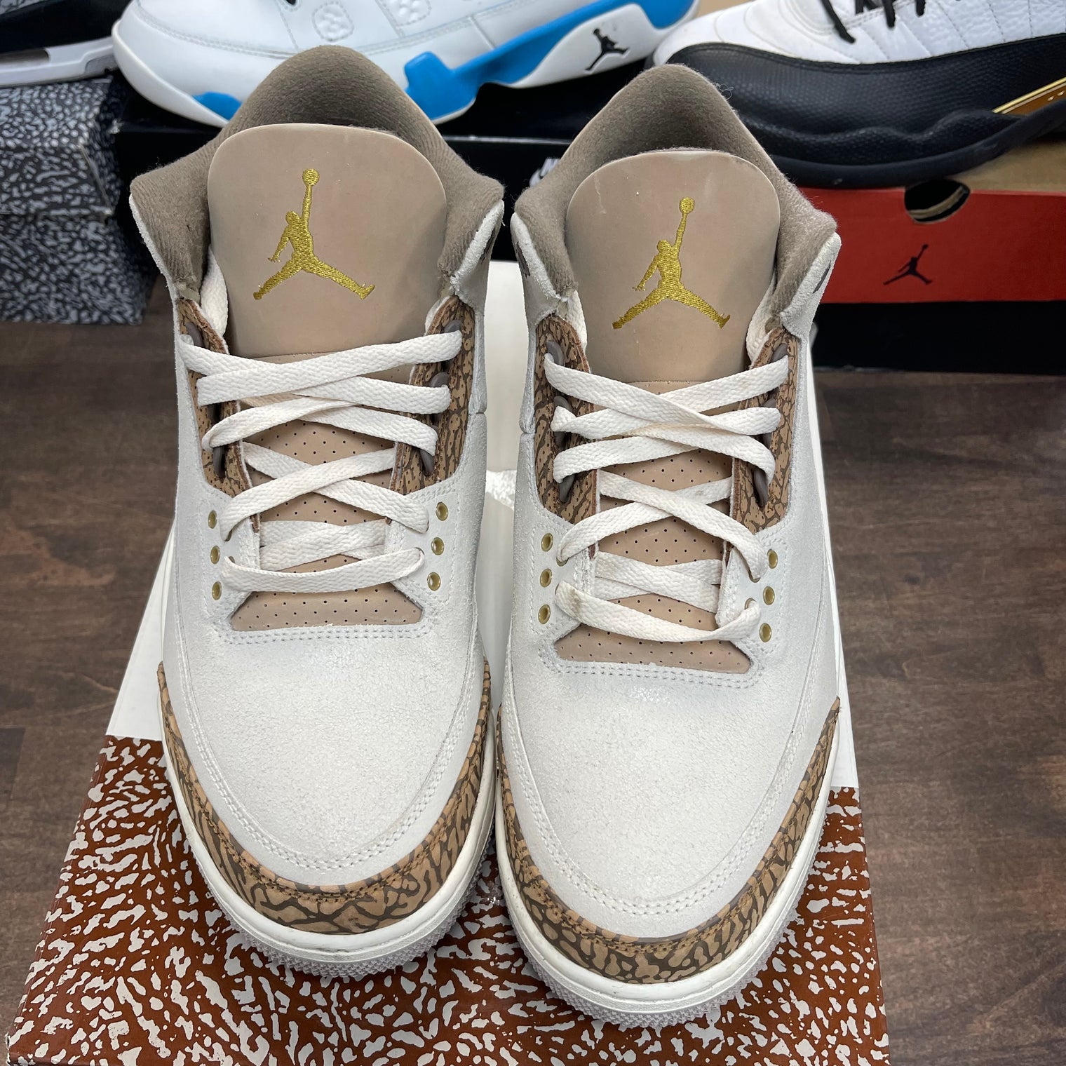 Palomino Jordan 3 (USED)