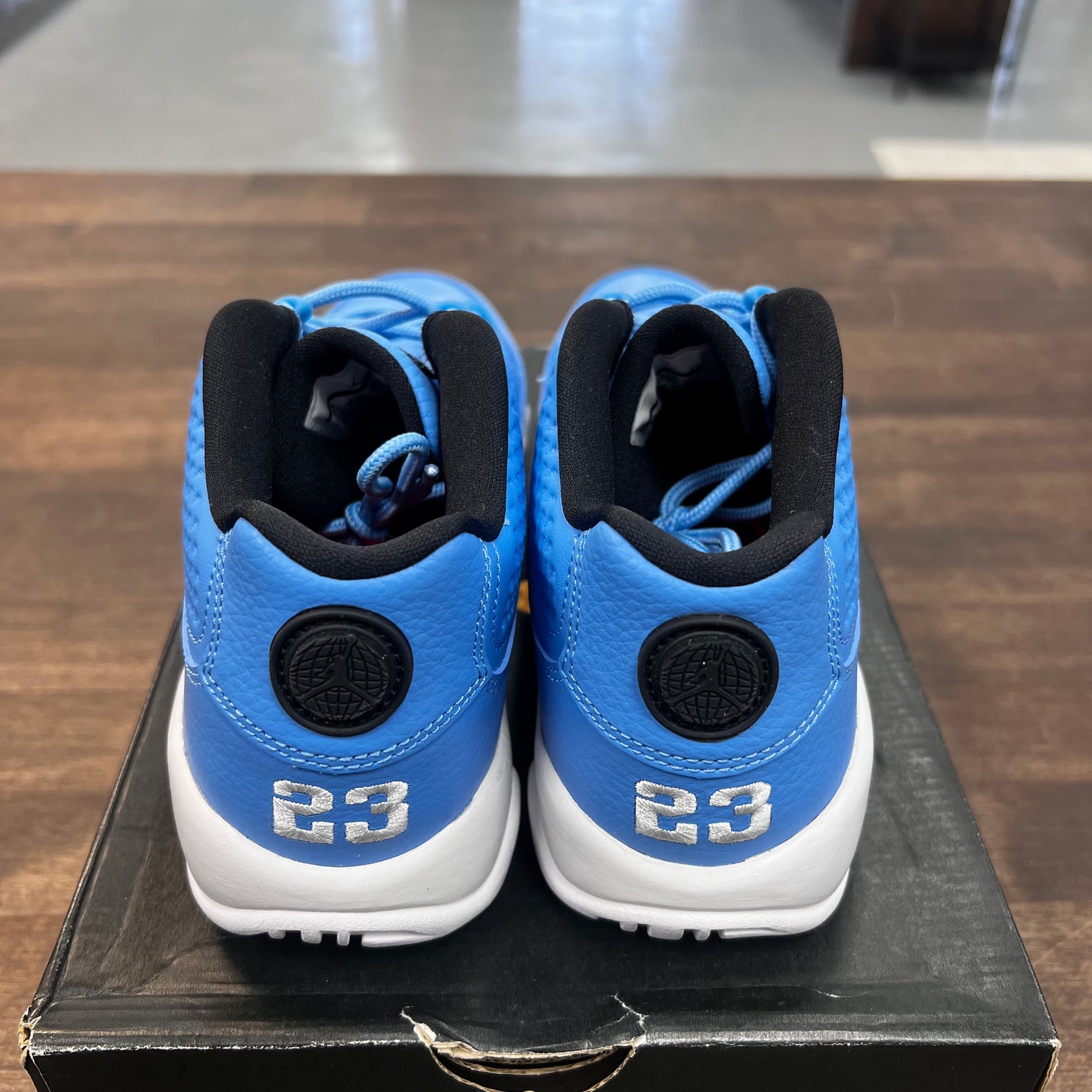 (GS) Pantone Jordan 9 Low (USED)