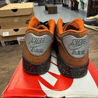 Nike Air Max 90 Mars Landing (US 13) (USED)