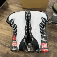 Steel Jordan 10 Retro (USED)