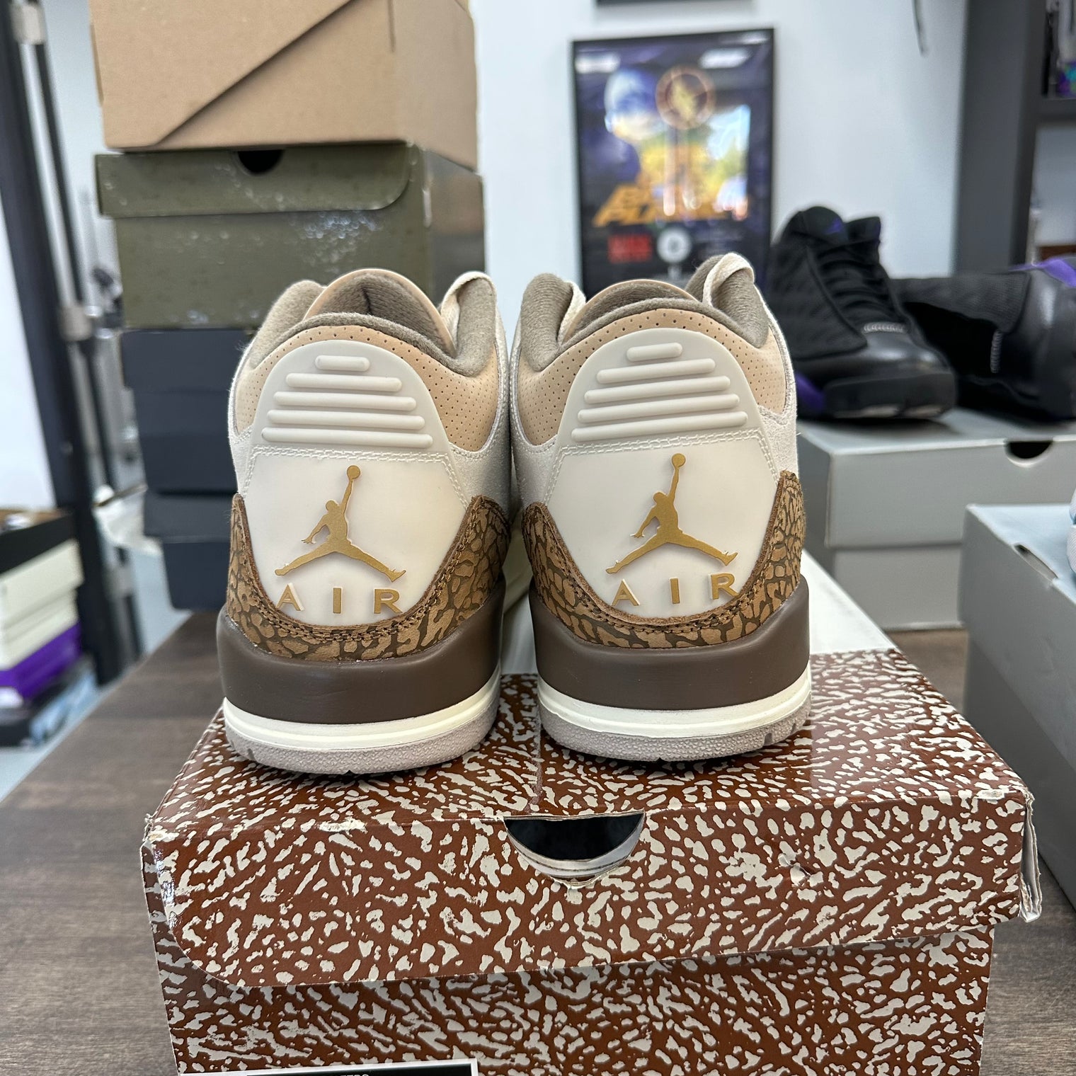 Palomino Jordan 3 Retro (USED)