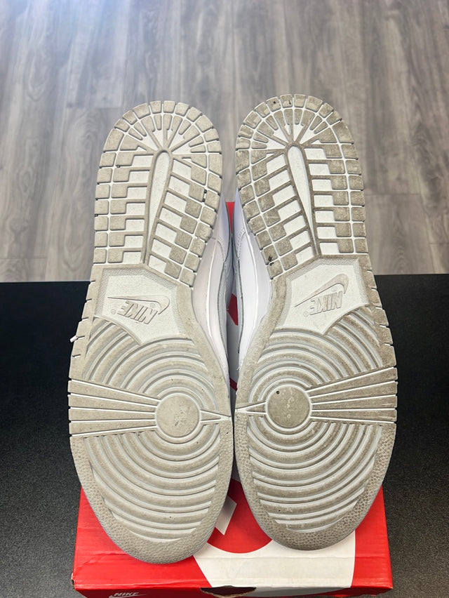 Pure Platinum Dunk Low (USED)
