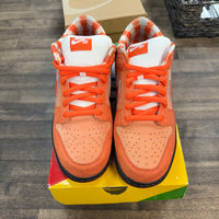 Orange Lobster SB Dunk Low (USED)