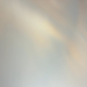 Jordan 5 Retro SE Oregon - Image 4