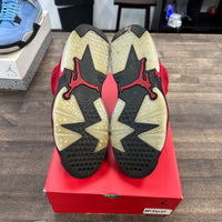 Toro Jordan 6 Retro (USED)