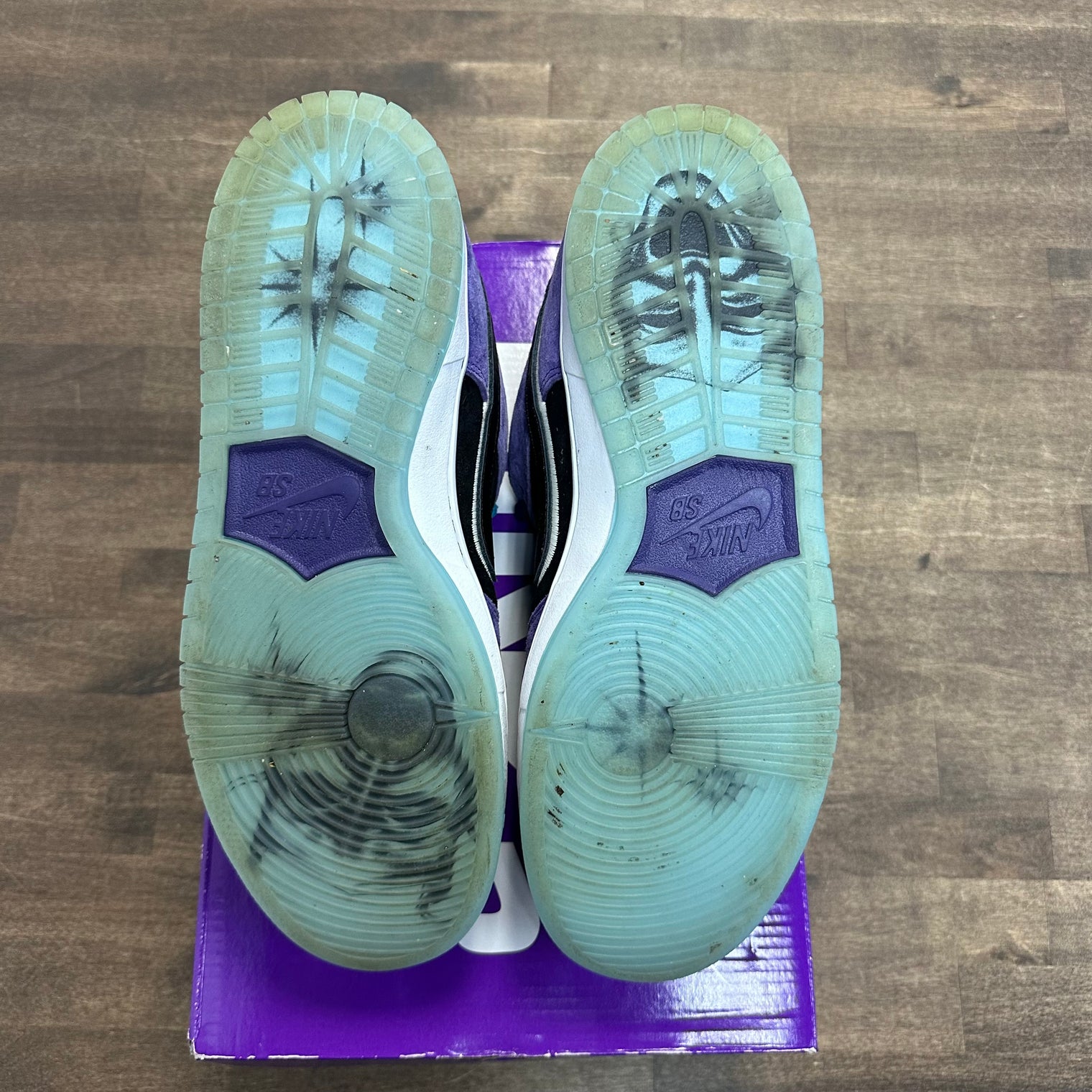 Haley Wilson Nike SB Dunk Low (USED)