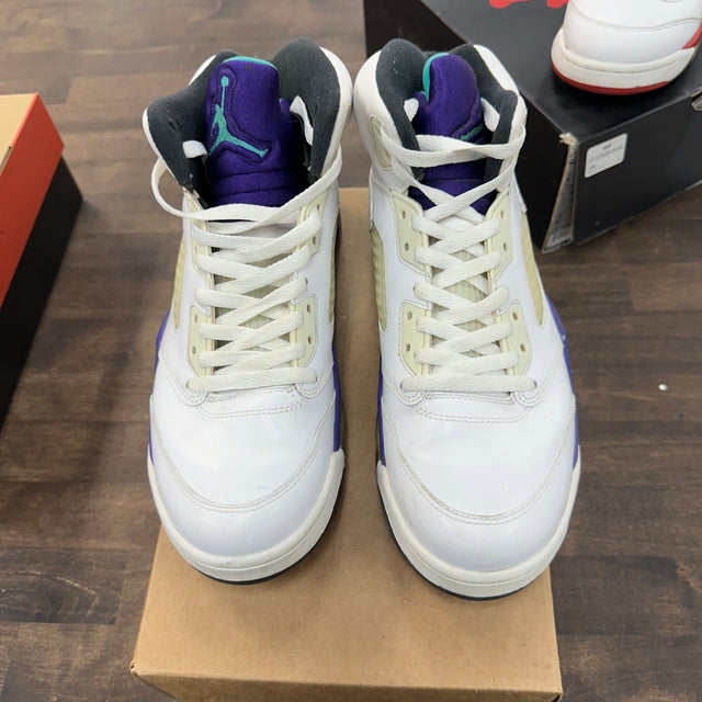 Grape Jordan 5 (2013) (USED, No Box)