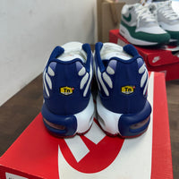 White Red Blue Air Max Plus (Used)