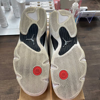 Desert Sand Jordan 14 (USED,No Box)