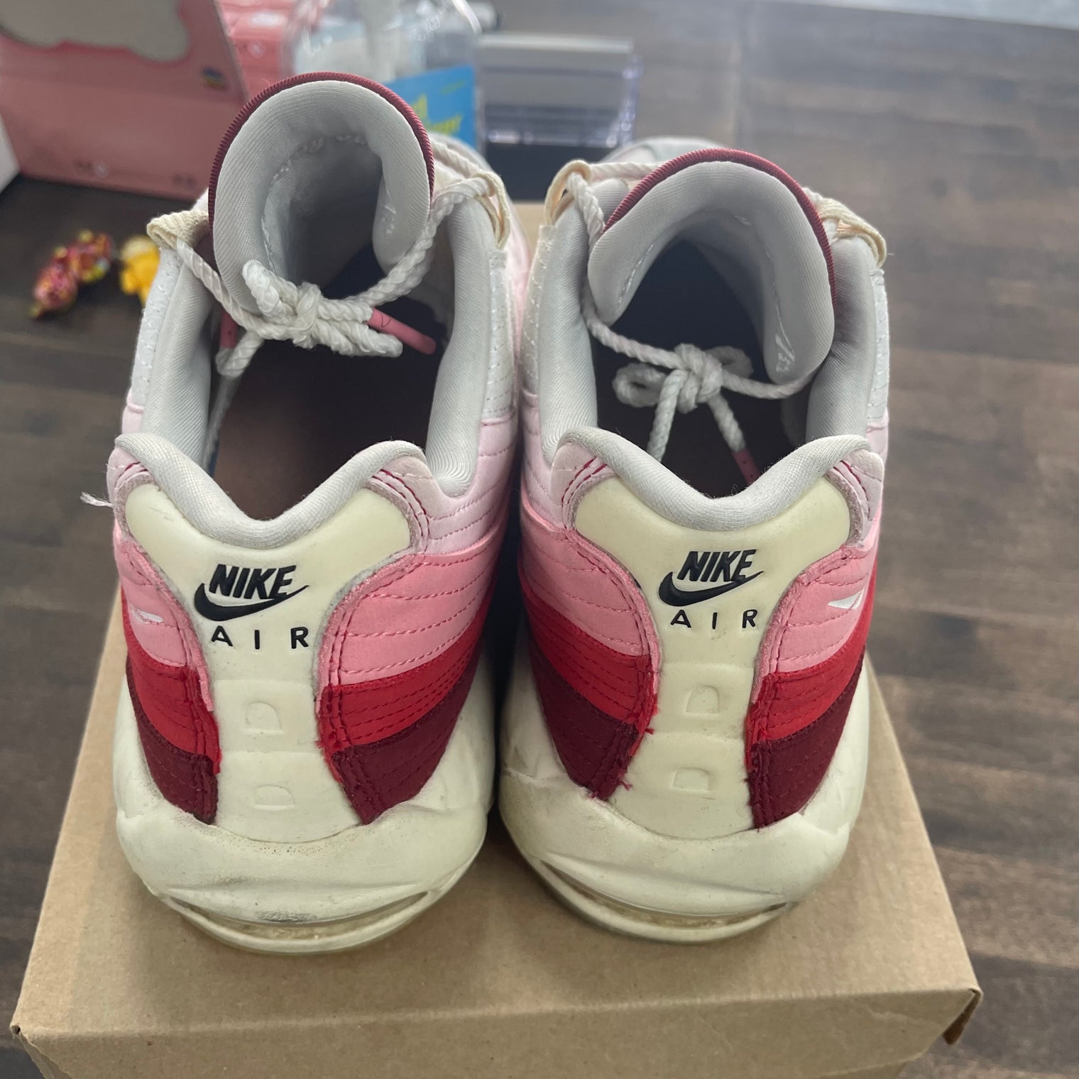 Anatomy Air Max 95 (USED, No Box)