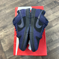 Purple Iris Dunk Low W (Used)