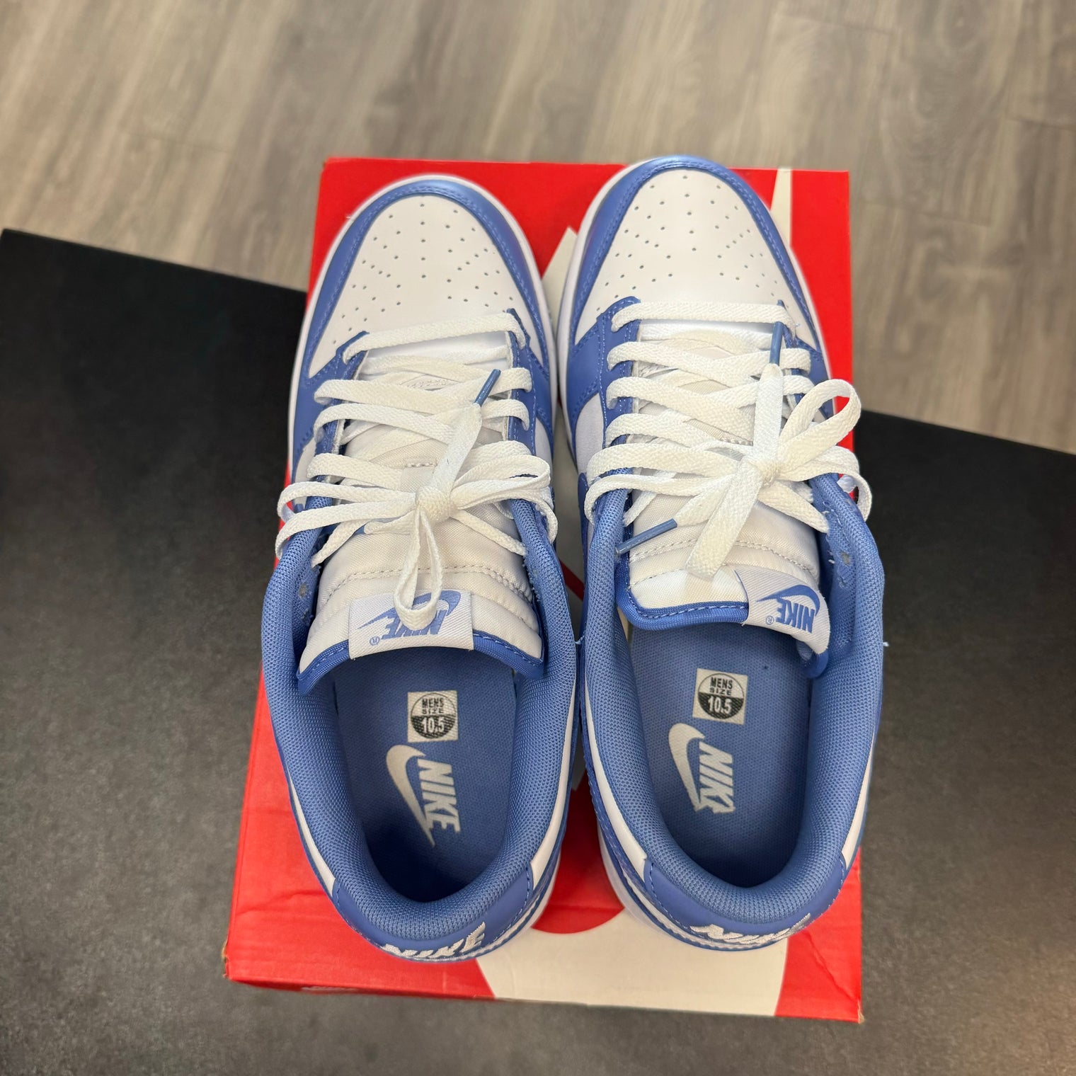 Polar Blue Dunk Low (USED)