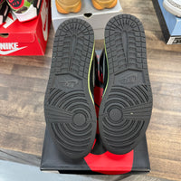 Bio Hack Jordan 1 High (USED)