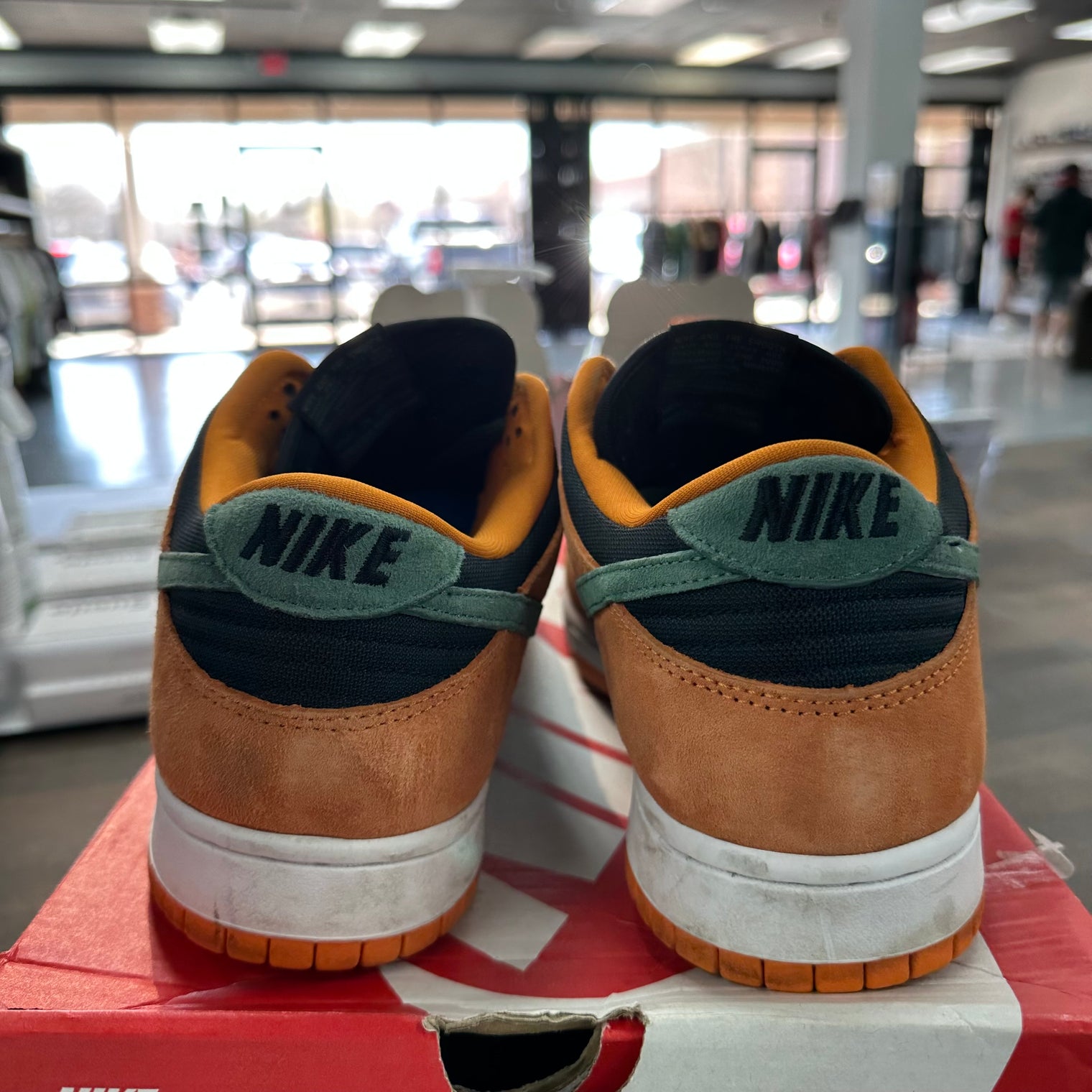 Ceramic Nike Dunk Low (USED)