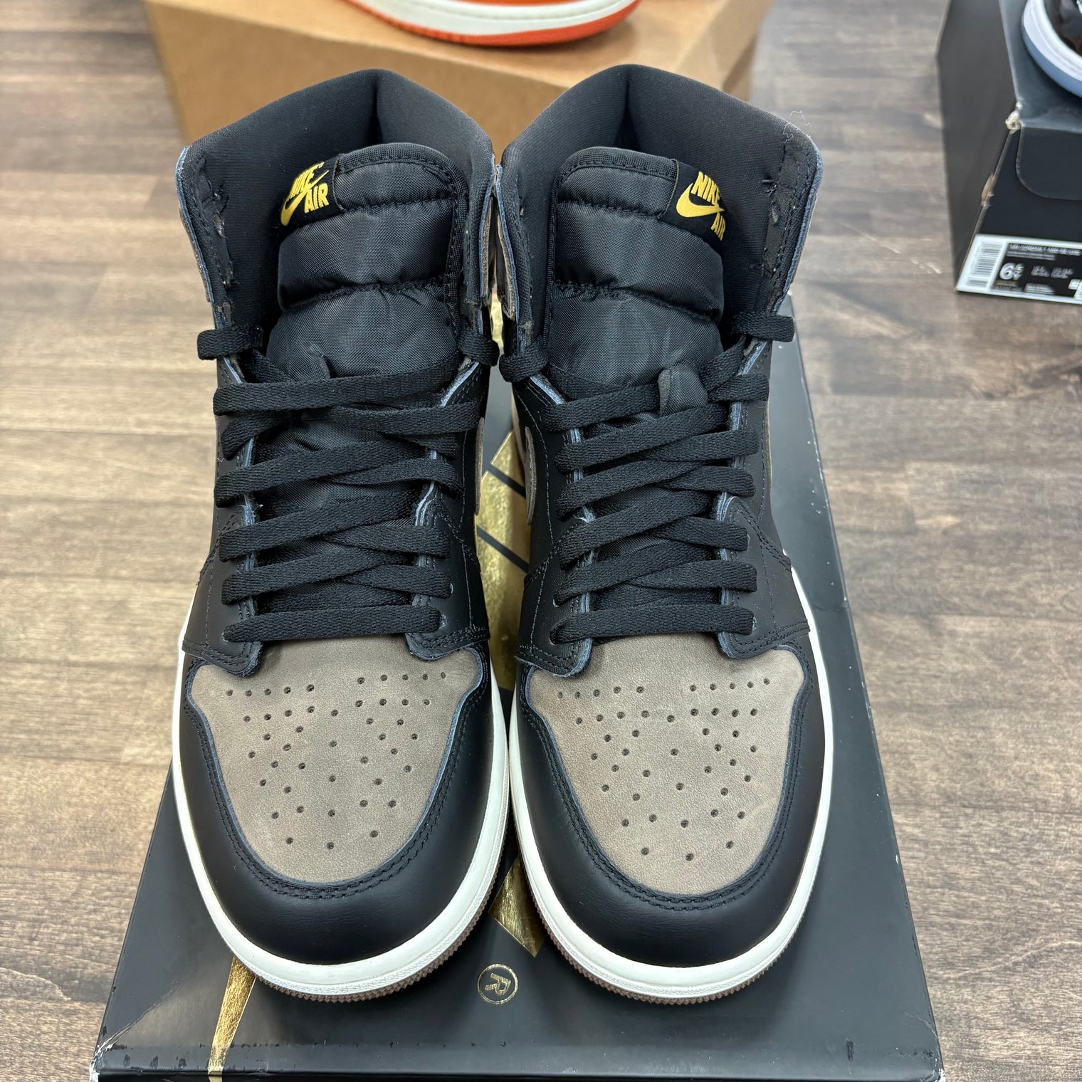 Palomino Jordan 1 High (USED)