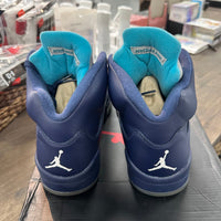 Pre-Grape Jordan 5 (USED)