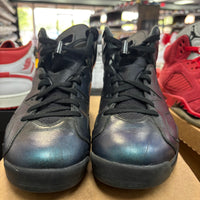 Chameleon Jordan 6 Retro (USED, No Box)