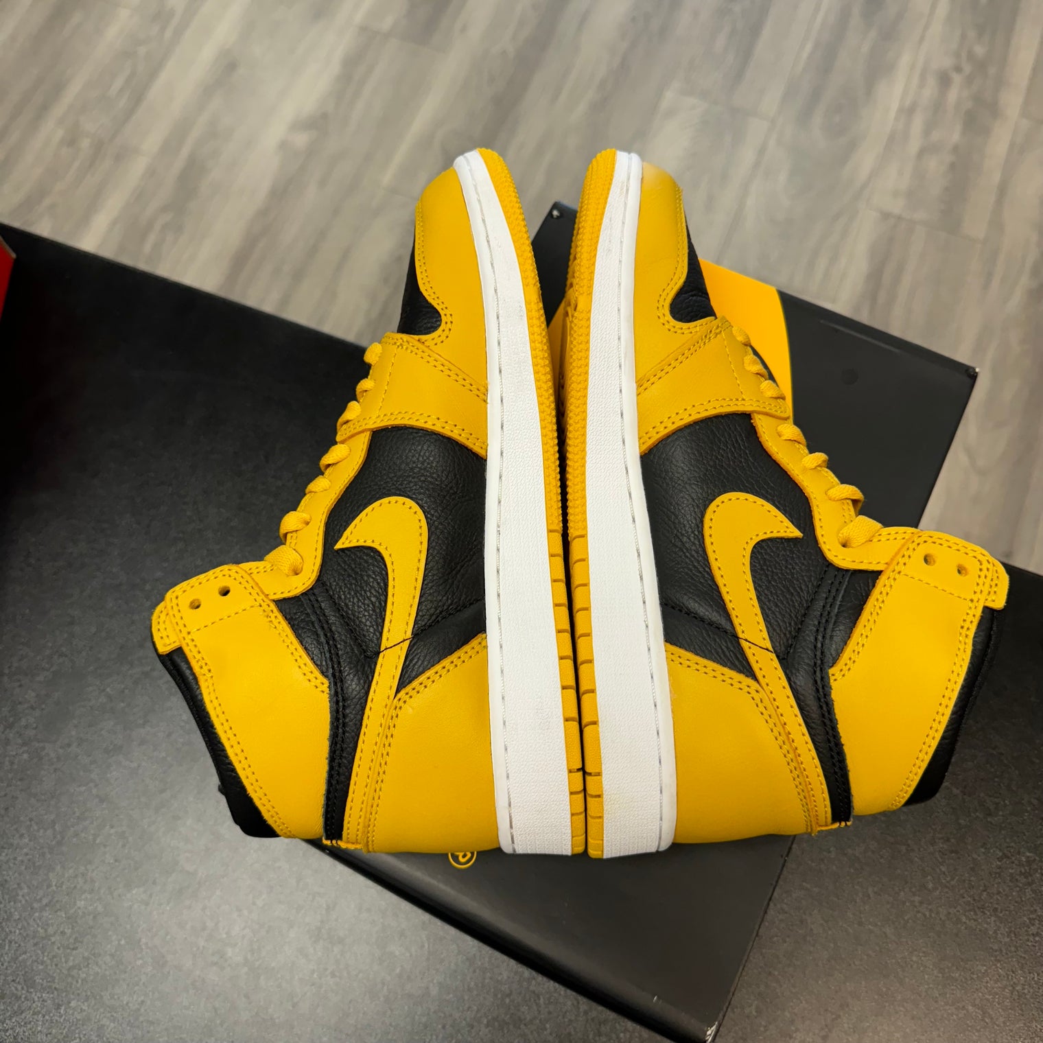 Pollen Jordan 1 High (USED)