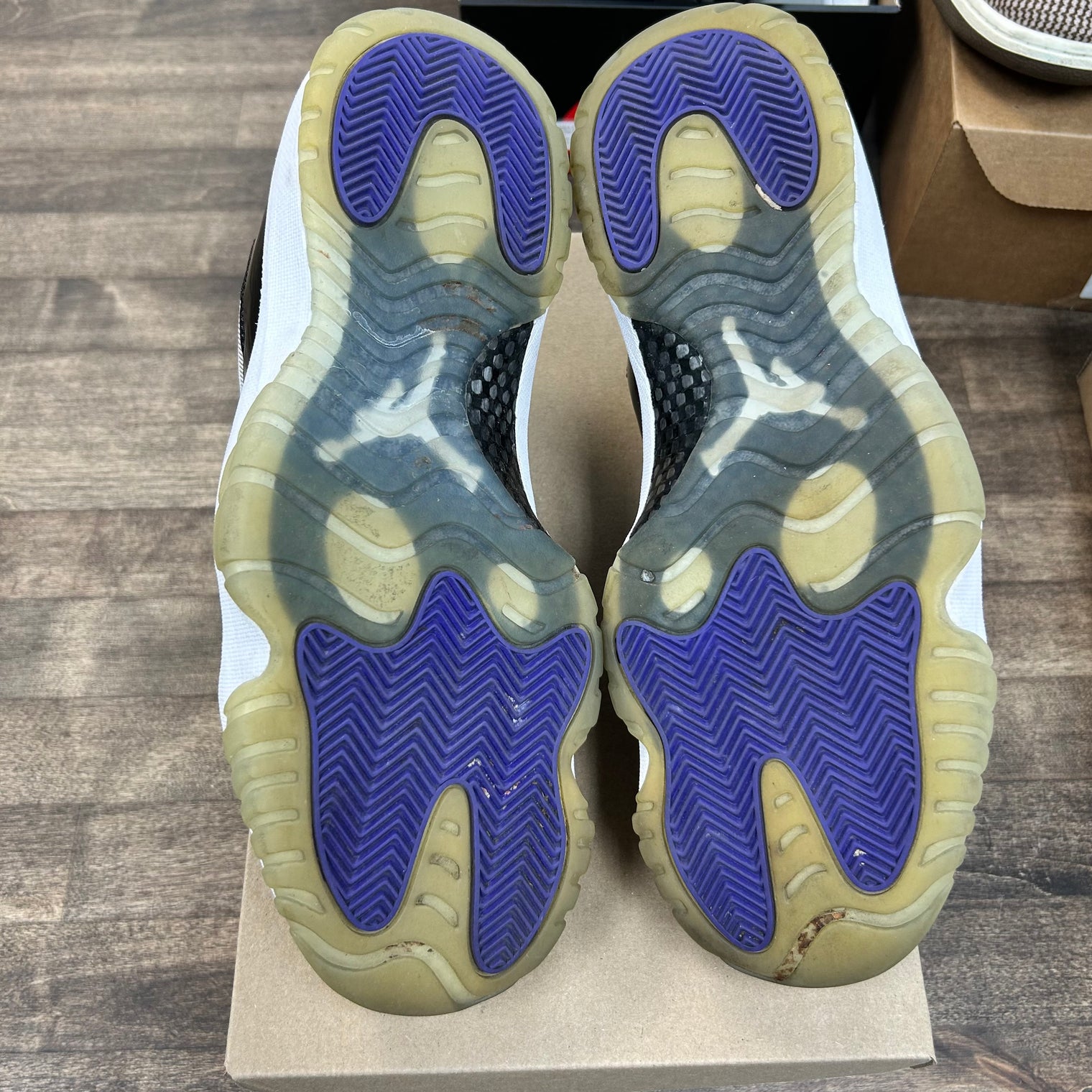 Concord Jordan 11 Low (USED, No Box)