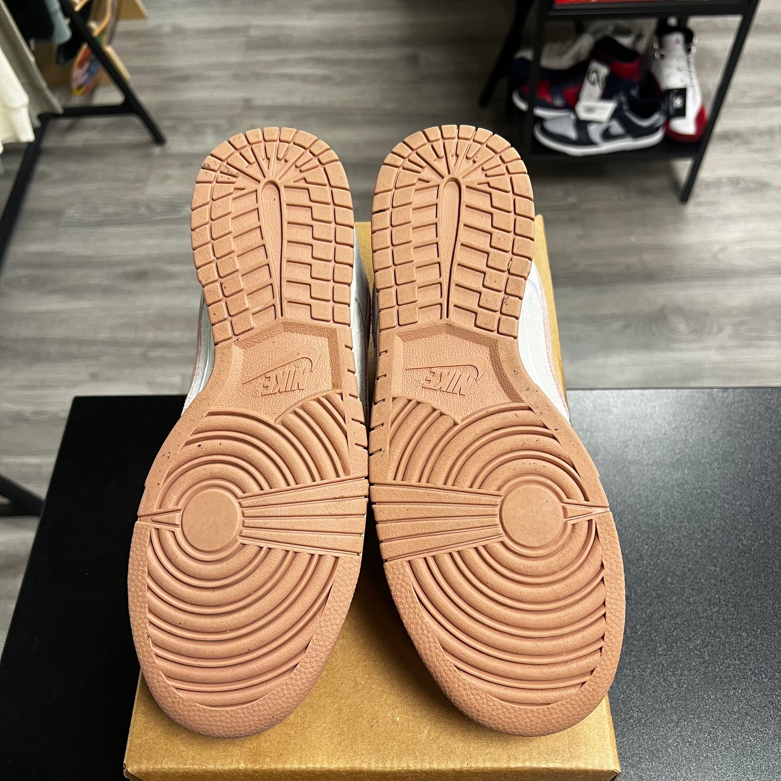 Fossil Rose Dunk Low (USED, no box)