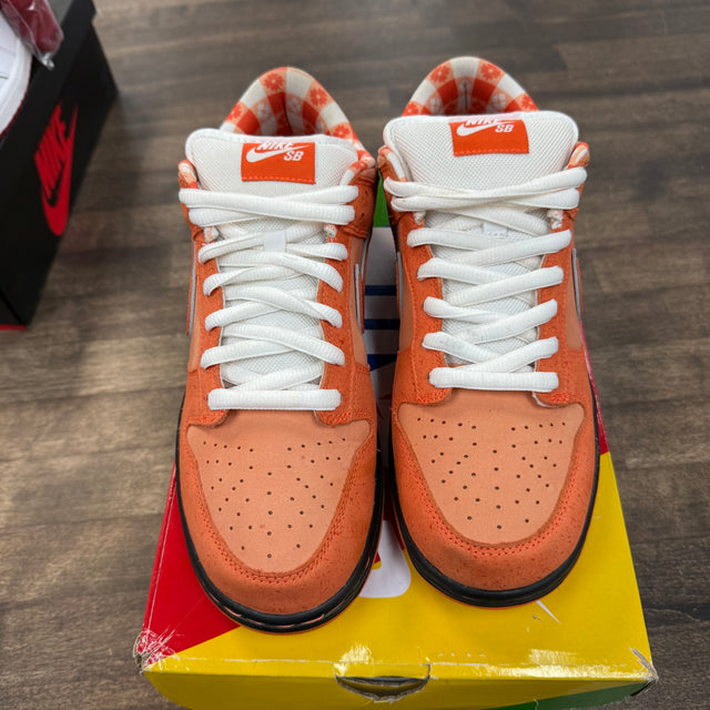 Orange Lobster SB Dunk Low (USED)