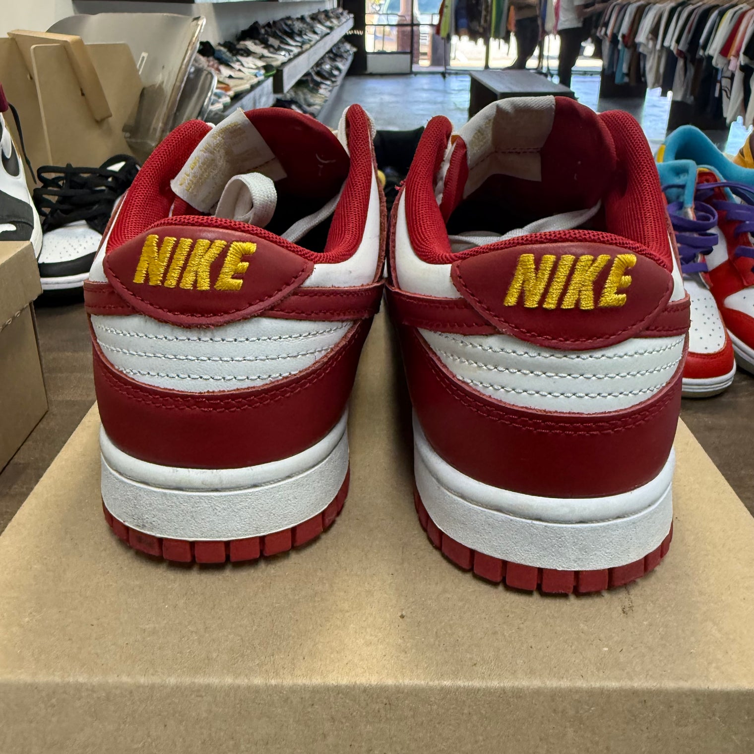 USC Dunk Low (USED, No Box)