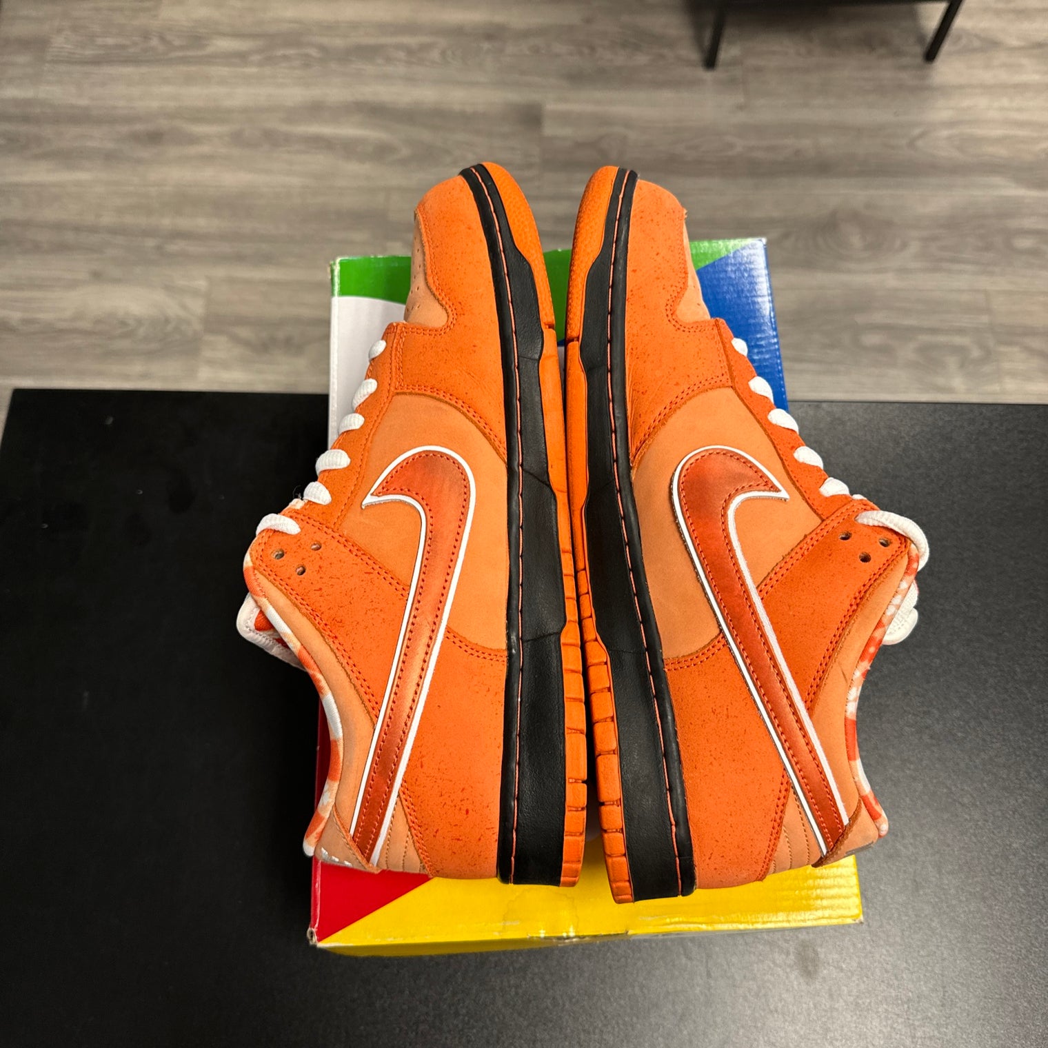 Orange Lobster SB Dunk Low (USED)