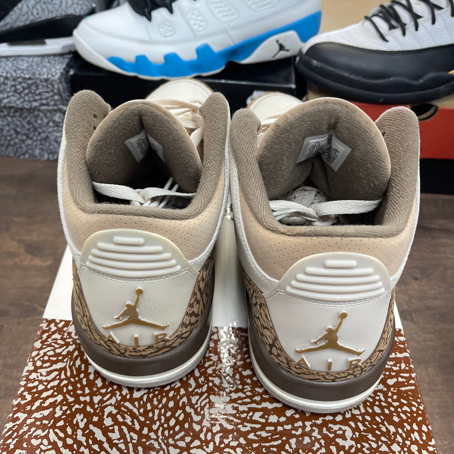 Palomino Jordan 3 (USED)