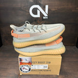 adidas Yeezy Boost 350 V2 True Form - Image 1