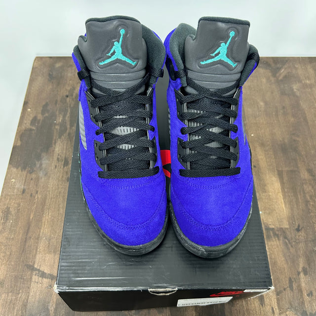 Alternate Grape Jordan 6 (USED)