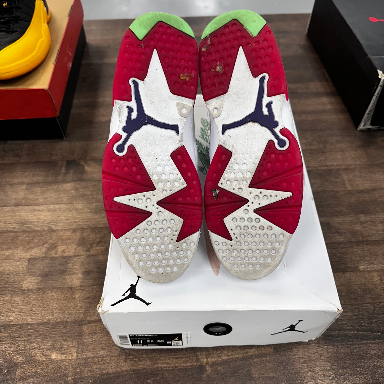 Hare Jordan 6 (USED)