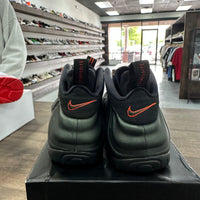 Sequoia Foamposite Pro (USED)