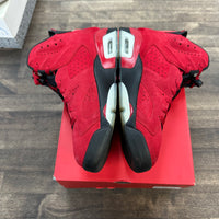 Toro Jordan 6 Retro (USED)
