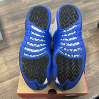 Blueberry Jordan 12 (USED)