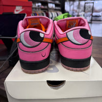 The Powerpuff Girls Blossom Nike SB Dunk Low (USED)