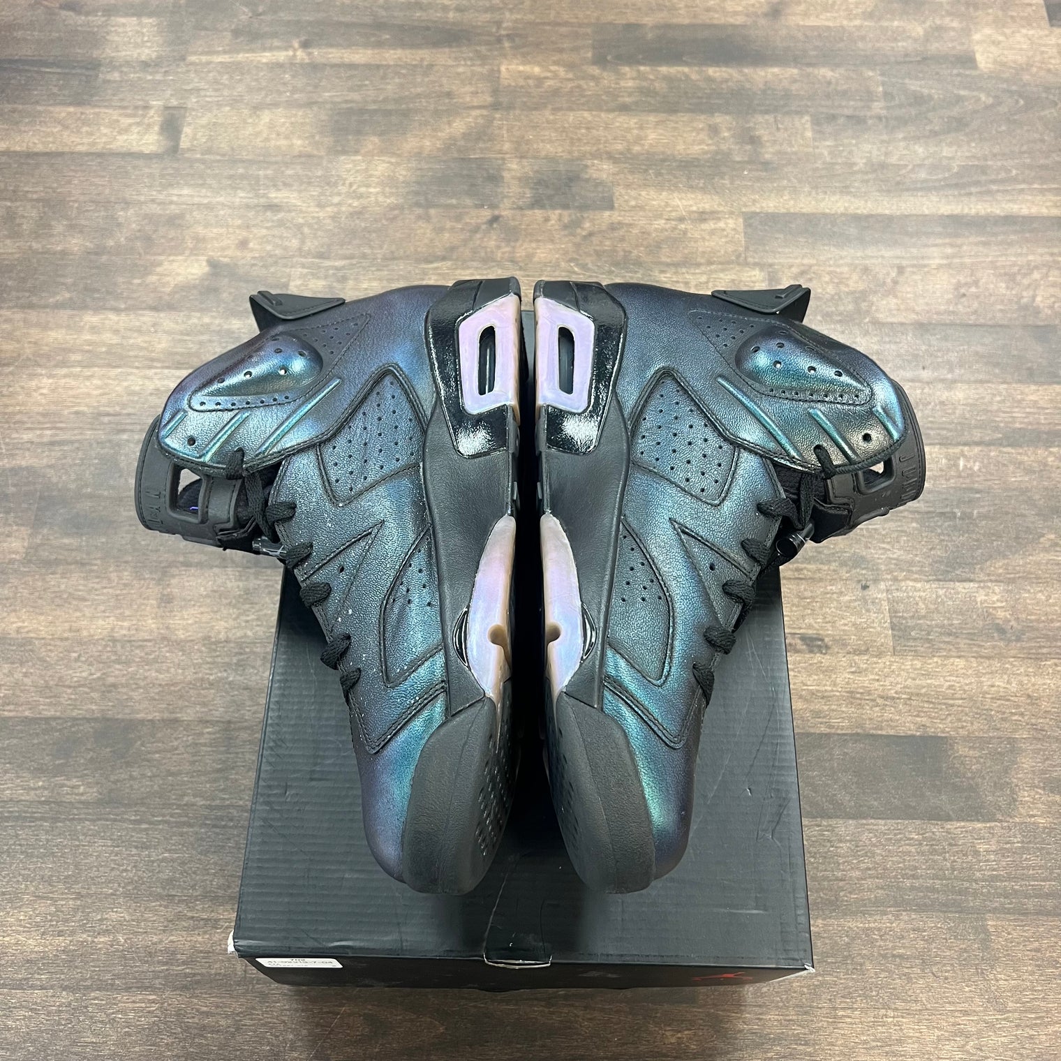 Chameleon Jordan 6 (USED)