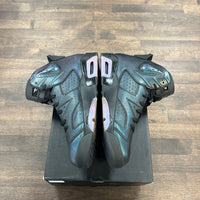 Chameleon Jordan 6 (USED)