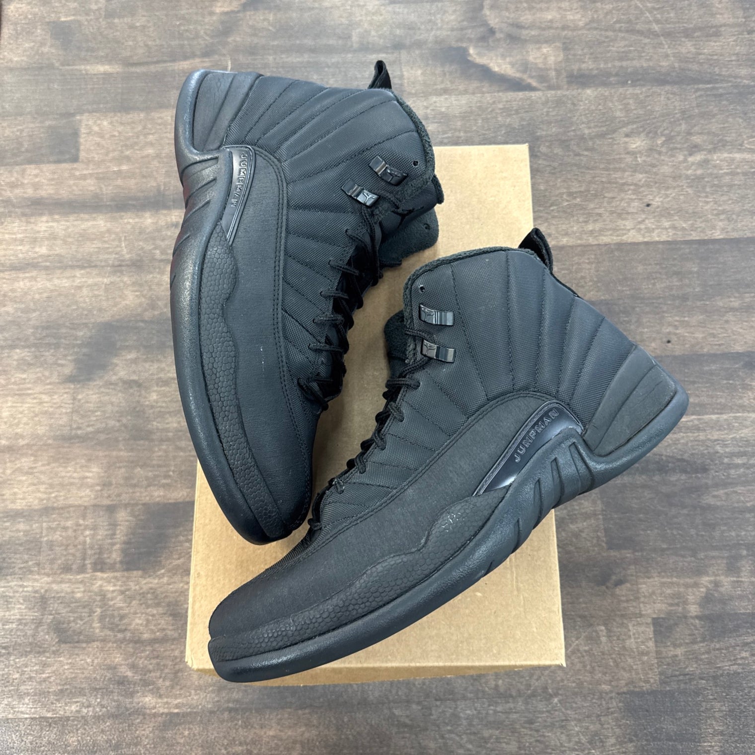 Winter Black Jordan 12 (USED, No Box)