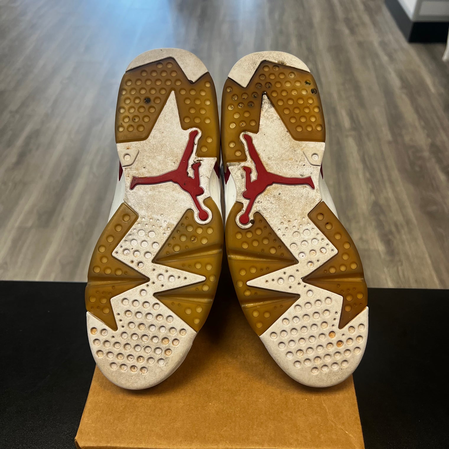 Alternate Hare Jordan 6 (USED, No Box)
